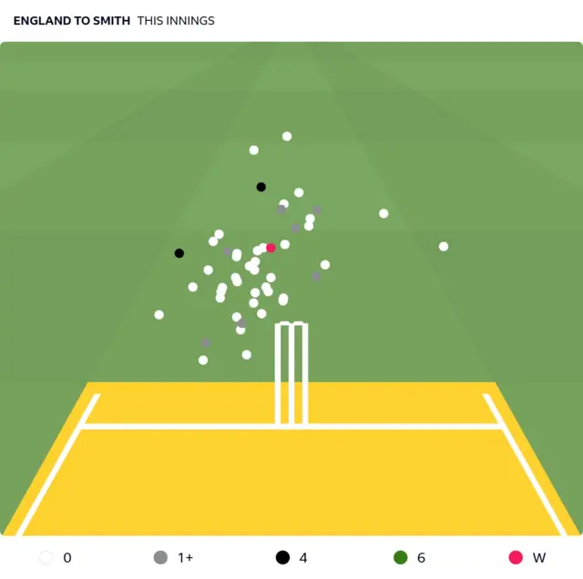 Beehive showing the location of all the deliveries England bowled at Steve Smith on day one of the first Ashes Test