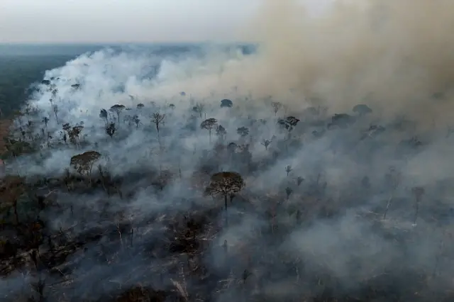 Amazon rainforest with a fire and smoke rising