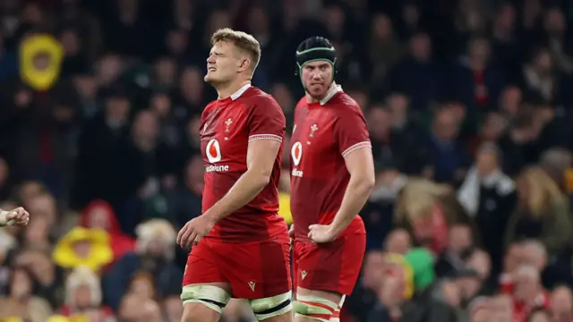 Taine Plumtree leaves the field