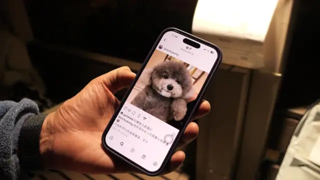 A man holds a phone with a picture of a dog on it
