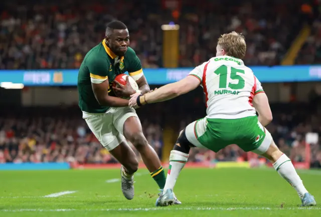 Wales v South Africa in 2024