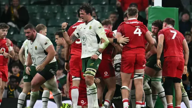 South Africa celebrate try