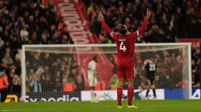 Virgil van Dijk celebrates