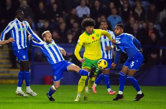 Sheffield Wednesday v Norwich City