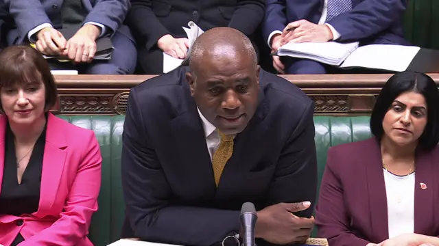 David Lammy leans on the dispatch box in the House of Commons