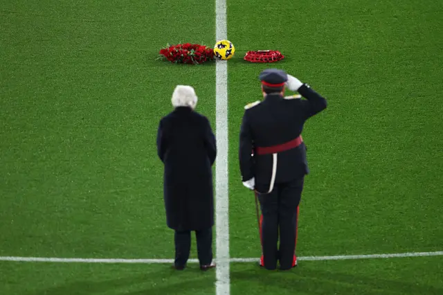 A representative of the Armed Forces salutes towards wreaths which have been laid on the pitch, as players of Watford and Bristol City (not pictured) pay their respects, during the Remembrance Ceremony prior to the Remembrance