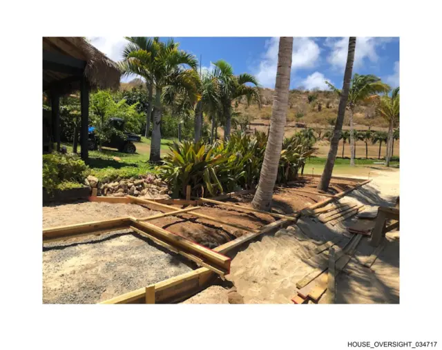 A palm tree next to construction work near a beach