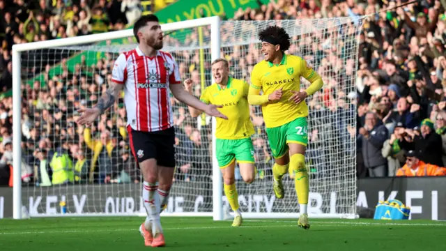 Norwich celebrate scoring