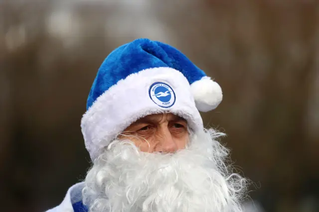 A festive Brighton fan ahead of the Barclays Women's Super League match at the Broadfield Stadium, Crawley.
