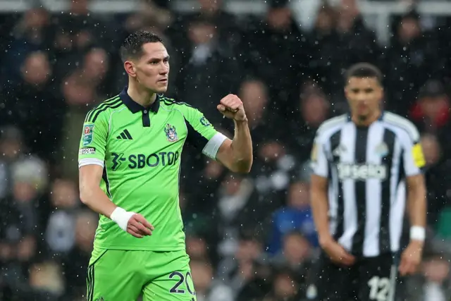 Fulham's Sasa Lukic celebrates