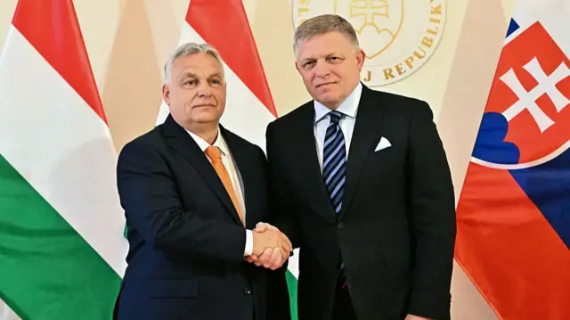 Hungarian Prime Minister Viktor Orban (L) and Slovakia's Prime Minister Robert Fico shake hands during an official welcome ceremony.