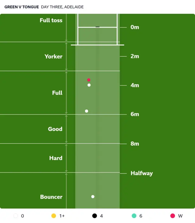 A pitch map showing how Josh Tongue varied his length to get the wicket of Cameron Green
