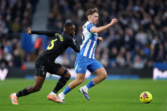 Brighton in action with Sunderland.