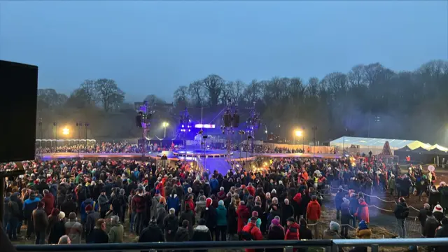 The crowd gathered for the show