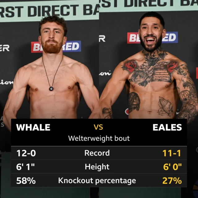 A graphic showing the records of Elliot Whale and Ashlee Eales. Whale - Record: 12-0, Height: 6' 1", Knockout percentage: 58%. Eales - Record: 11-1, Height: 6'0", Knockout percentage 27%