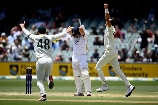 Mitchell Starc celebrates the wicket of Will Jacks