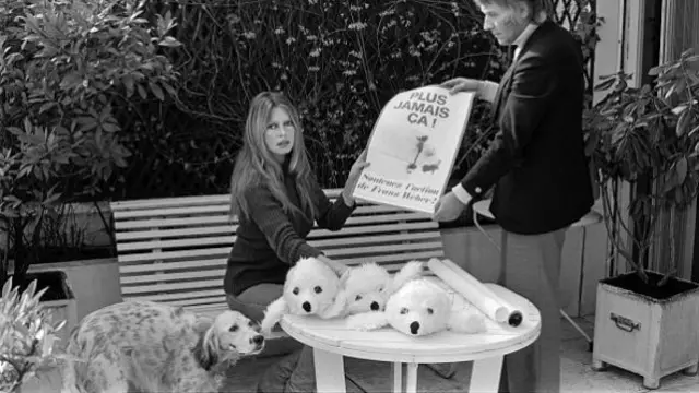 Brigitte Bardot kneels down with a sign reading 