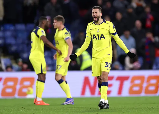Tottenham players greet the final whistle with roars