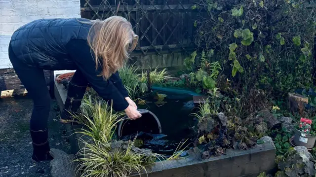 A woman bending over a small pond, filling a bucket with its water. Small plants are around the outside of pond.