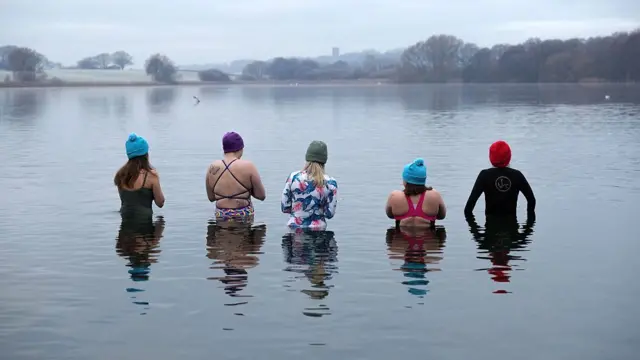 Five people with their backs to camera stand waist-deep in water outside