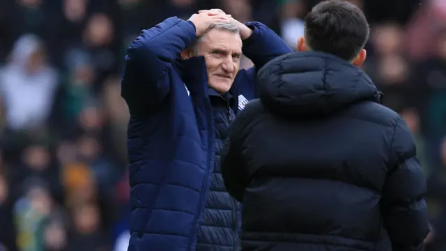 West Brom manager Tony Mowbray had his hands on his head