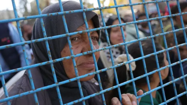 A woman looks through gaps in a blue metal fence as she waits for the Palestinian prisoners to arrive