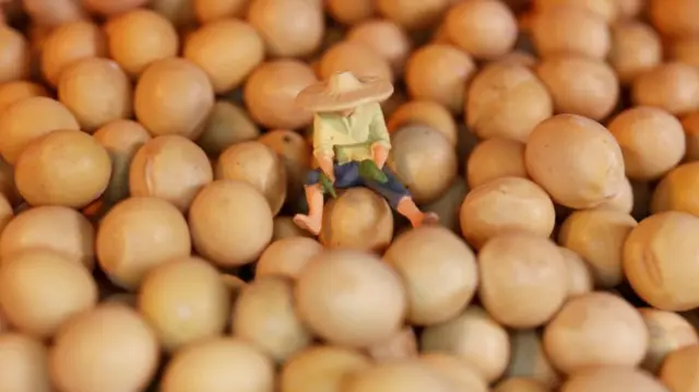 Soybeans are displayed with a farmer miniature