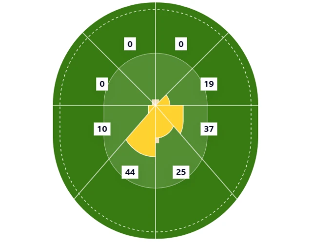 Abhishek Sharma's wagon wheel