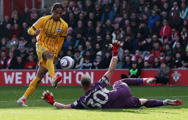 Brighton & Hove Albion's Joao Pedro scores their first goal