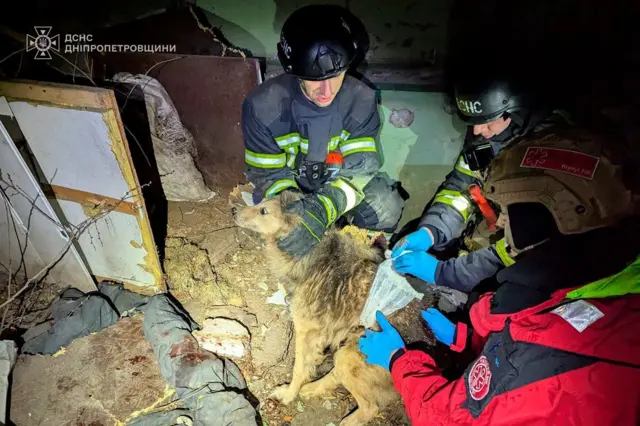 Emergency crews rescued a dog from the rubble following the strike in Dnipropetrovsk