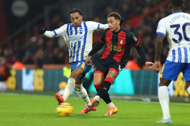 Brighton v Bournemouth