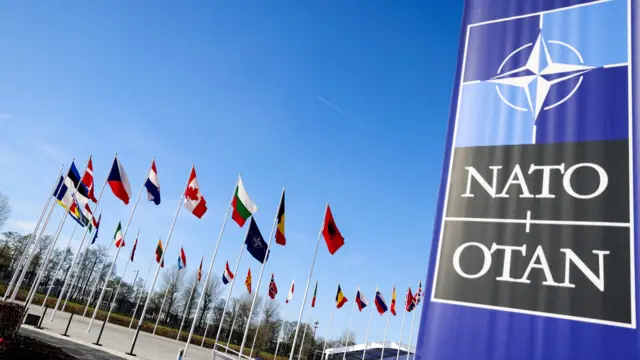 Nato flags