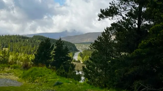 Coille Coimhearsnachd Ath Linne