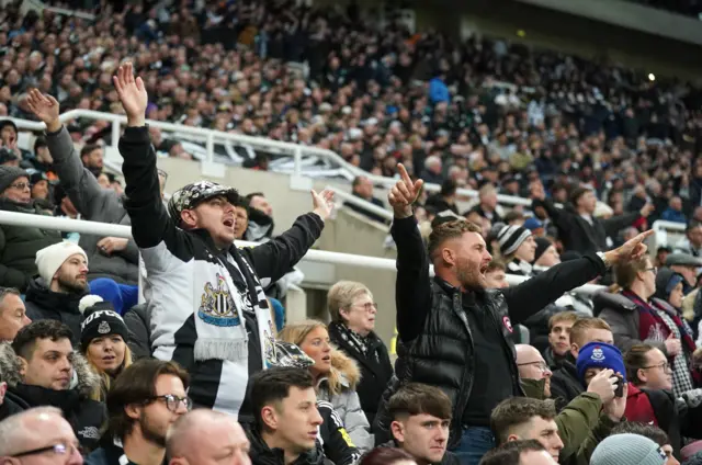 Newcastle fans stand and sing in the stands