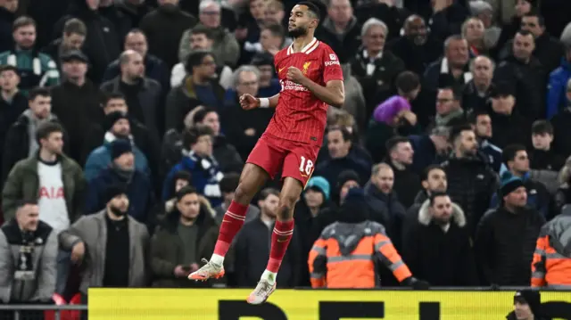 Liverpool's Cody Gakpo celebrates