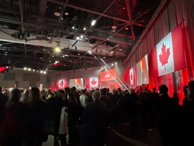 Canadian flags at the Liberal Party leadership election