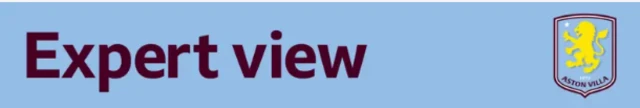 Expert view banner Villa