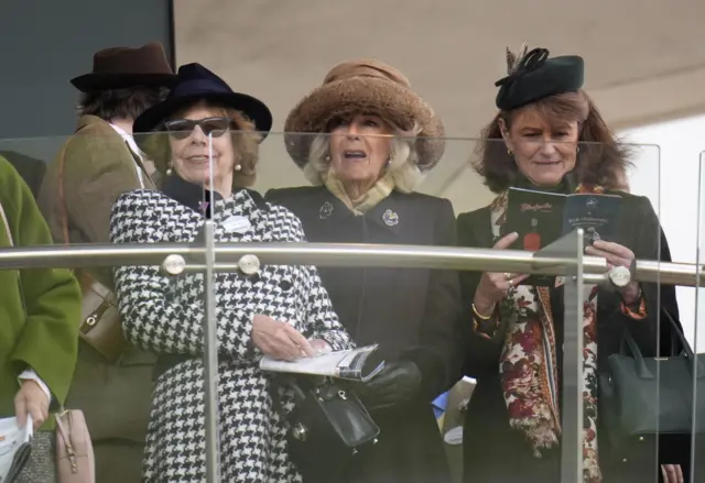 Queen Camilla watching on the terrace at Cheltenham