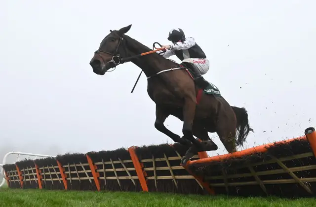 Romeo Coolio jumping over a hurdle