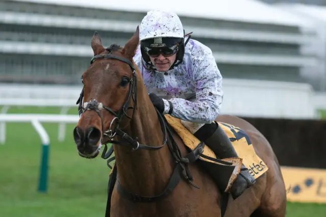 Jonjo O'Neill junior on Springwell Bay