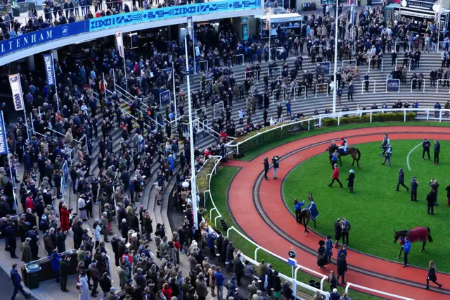 A general view of the parade ring at Cheltenham on Wednesday