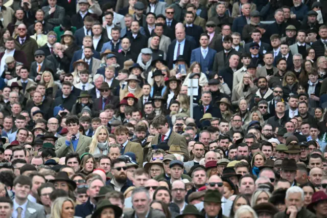 cheltenham spectators