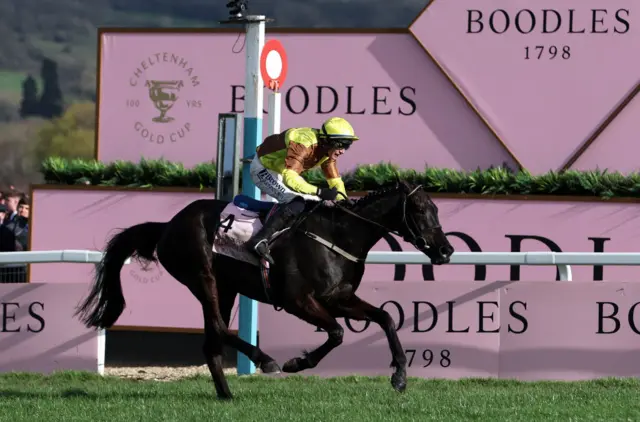 Galopin Des Champs