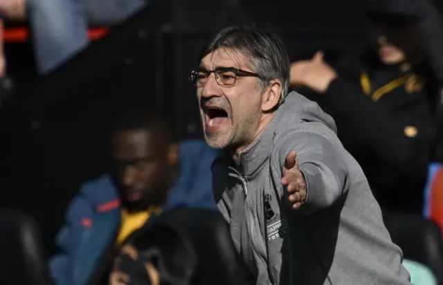 Southampton manager Ivan Juric reacts