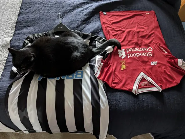 Image of cat laid on a Newcastle shirt