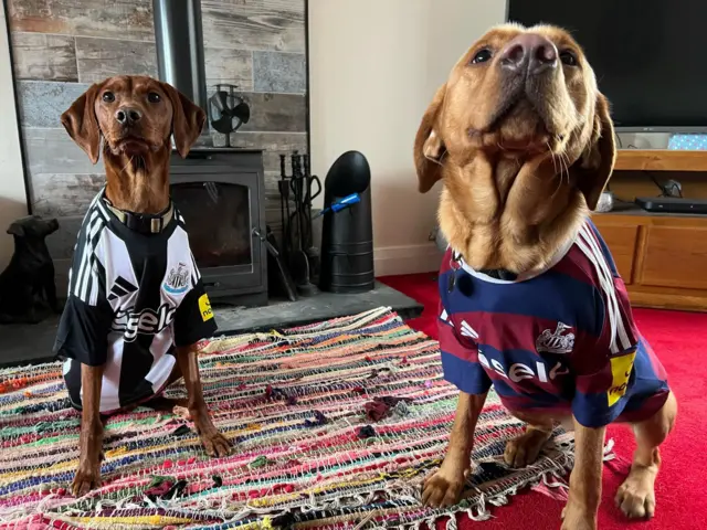 Newcastle fans dress their dogs in jerseys