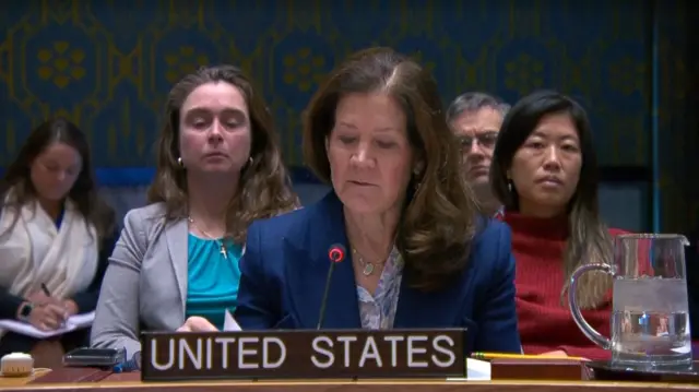 Acting US Ambassador to the UN Dorothy Shea speaking at a UN Security Council meeting