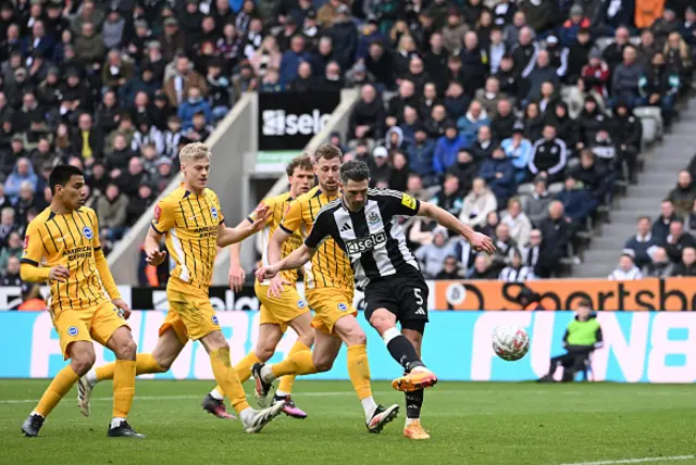 Fabian Schaer of Newcastle United scores