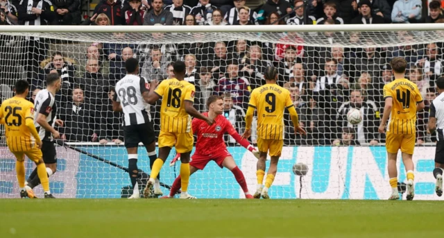 Newcastle United's Fabian Schar scores a disallowed goal