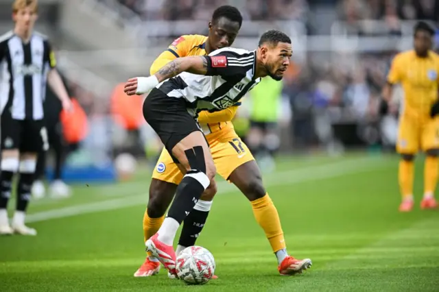 Brighton's Gambian midfielder #17 Yankuba Minteh (rear) fights for the ball